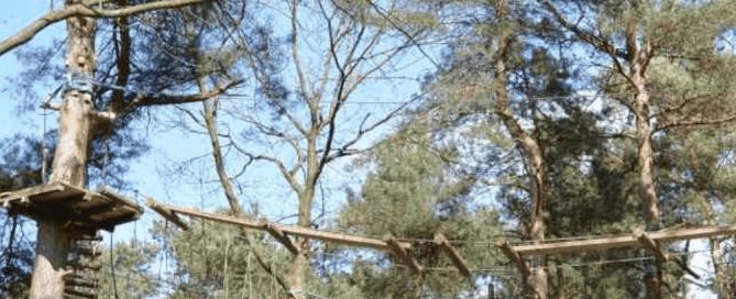 Waarom Veiligheid In Een Klimbos Belangrijk Is