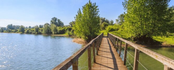 Waarom de natuur in Zwolle en Nijmegen perfect is voor een kinderkamp