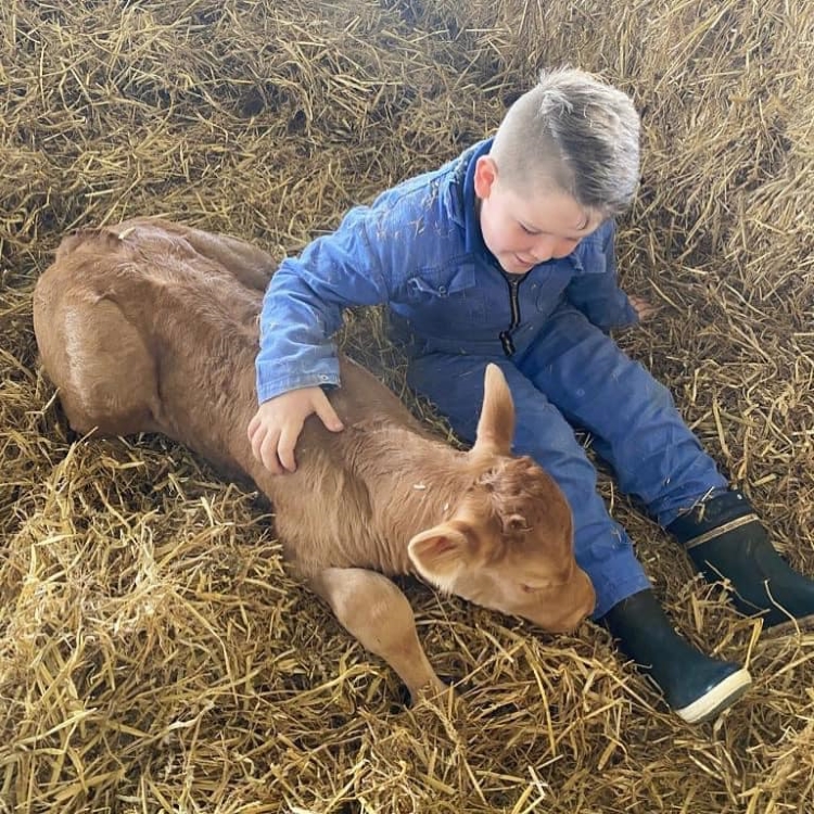 Animal Kids Camp 7 dagen