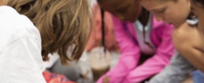 Zomerkampen Voor 5 Tm 8 Jaar – Dit Kun Je Verwachten Bij Club Adventure