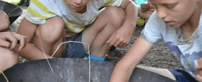 Hoe Introverte Kinderen Toch Stralen Op Zomerkamp