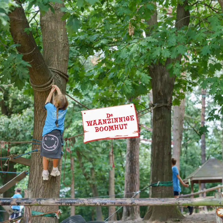 Waanzinnige Boomhut kamp 7 dagen