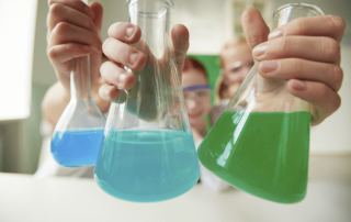 Waanzinnige Boomhut kamp