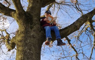 Waanzinnige Boomhut kamp