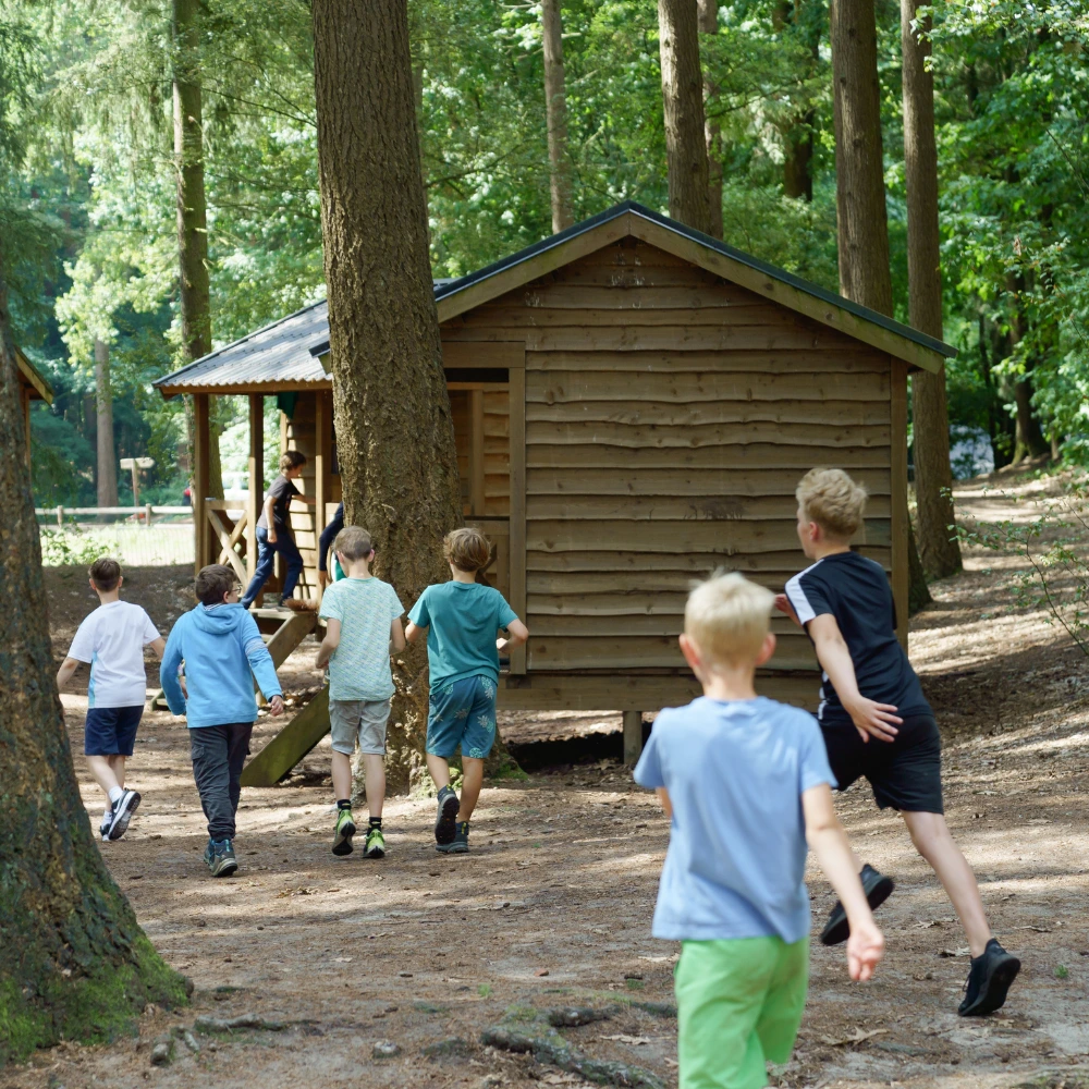 De wetenschap van buitenspelen in de natuur