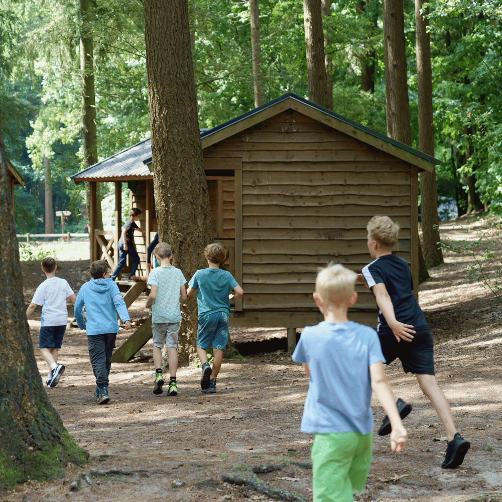 Samen op avontuur in de Nederlandse natuur